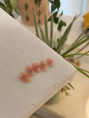 Soft Spoken op.02-Dawn Blush